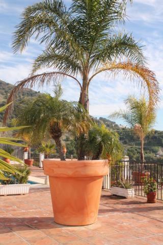 Villa El Nido Nerja Exterior foto